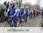 Het Volk