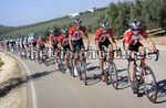 Febbraio 2011