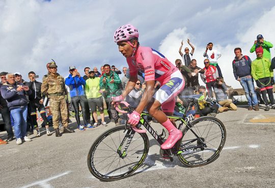 Giro d'Italia 2014 - 19^ tappa: Bassano del Grappa - Cima Grappa (Cronoscalata) - Quintana in azione lungo le rampe del Monte Grappa - © bettiniphoto